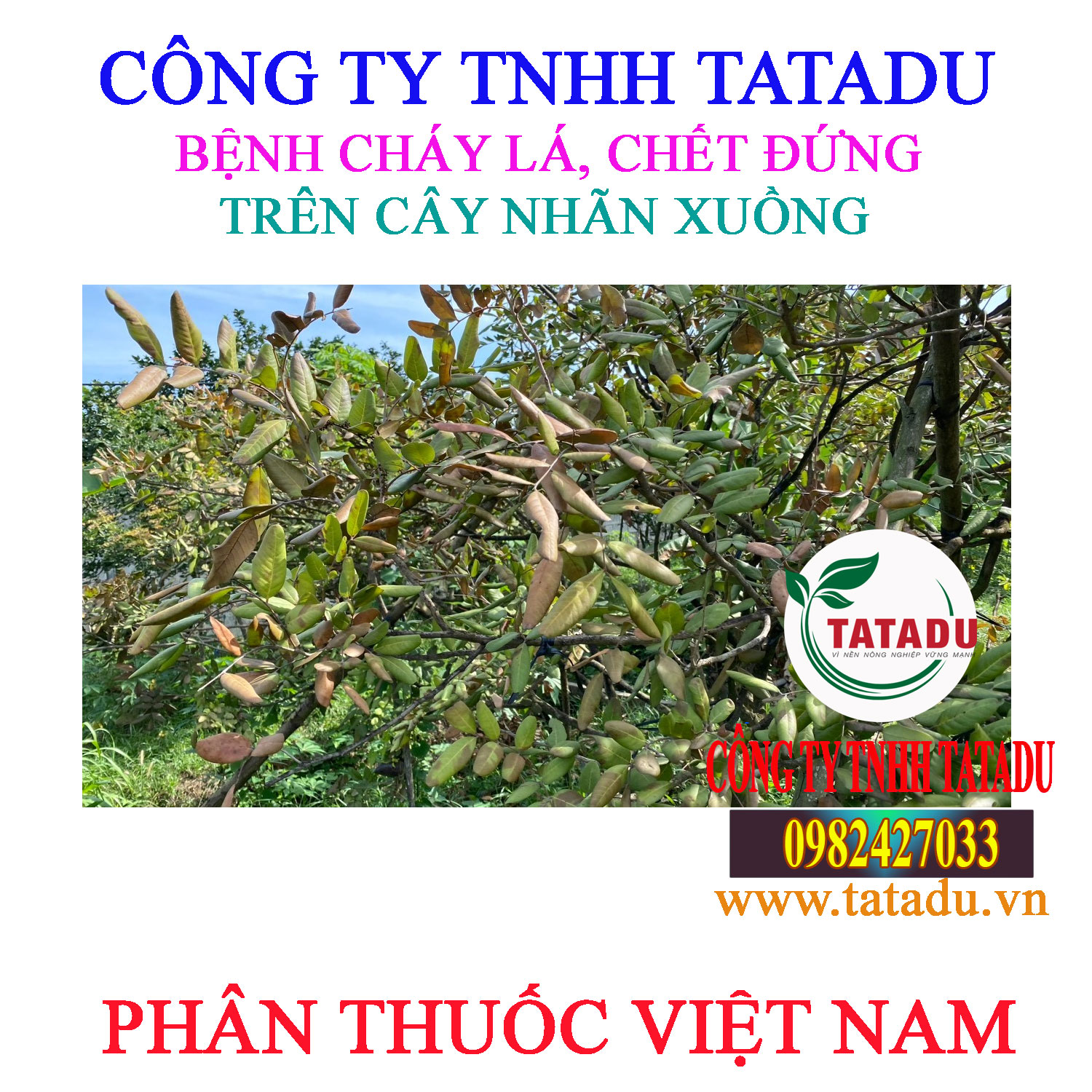 BENH CHAY LA NHAN 1