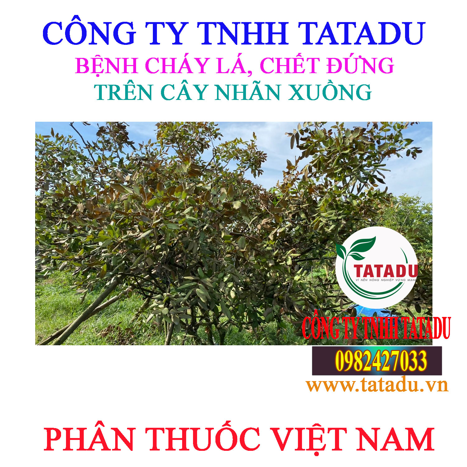 BENH CHAY LA NHAN XUONG