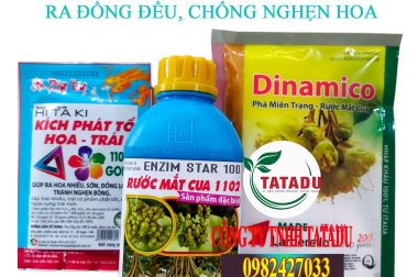 BỘ 3 THUỐC KÍCH MẮT CUA RA ĐỒNG ĐỀU, CHỐNG NGHẸN HOA
