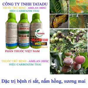 CARBENZIM THAI ri sat
