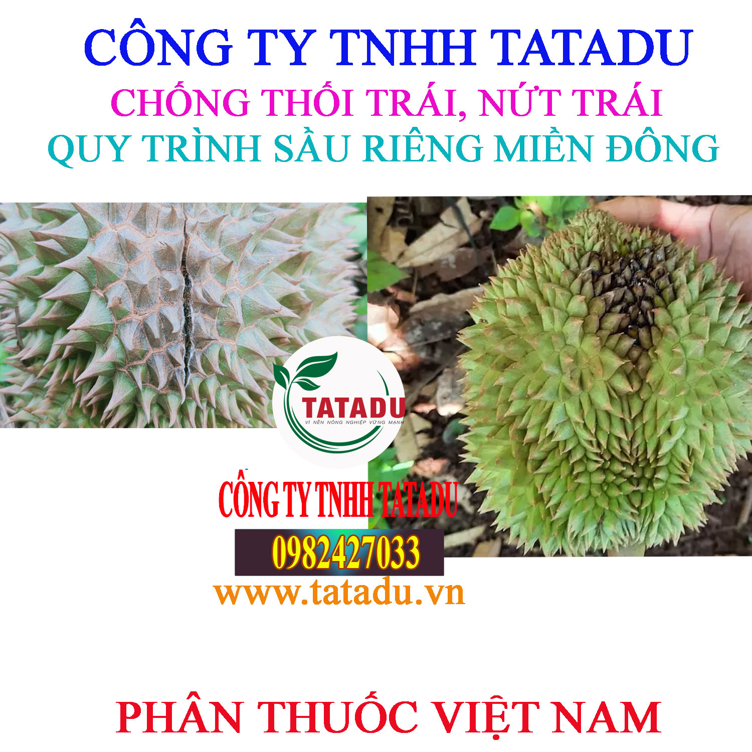 CHONG THOI TRAI NUT TRAI SAU RIENG