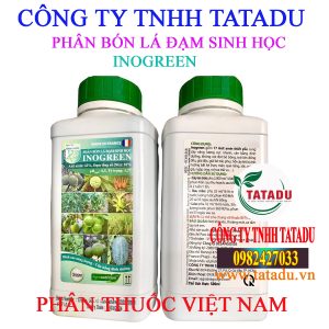 INOGREEN