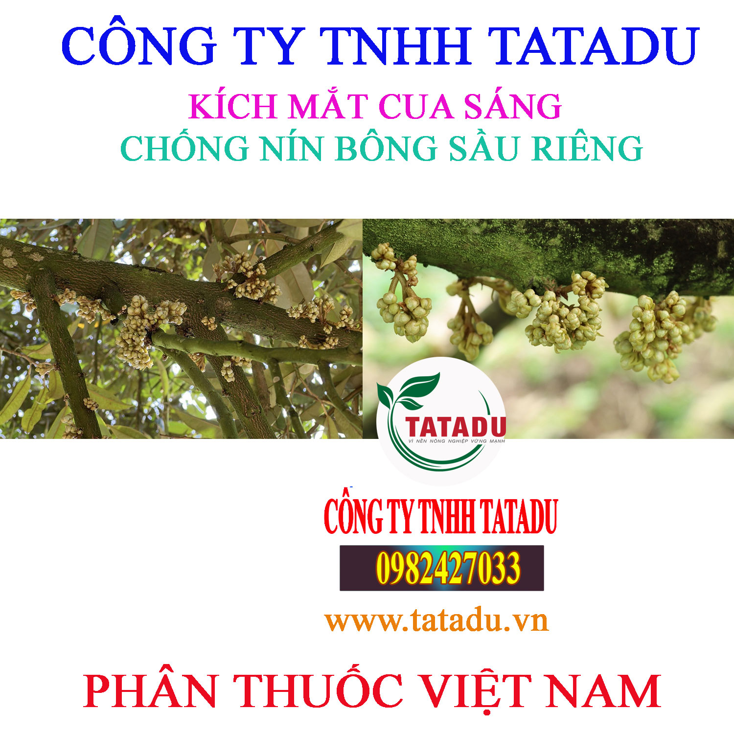 KICH MAT CUA SANG