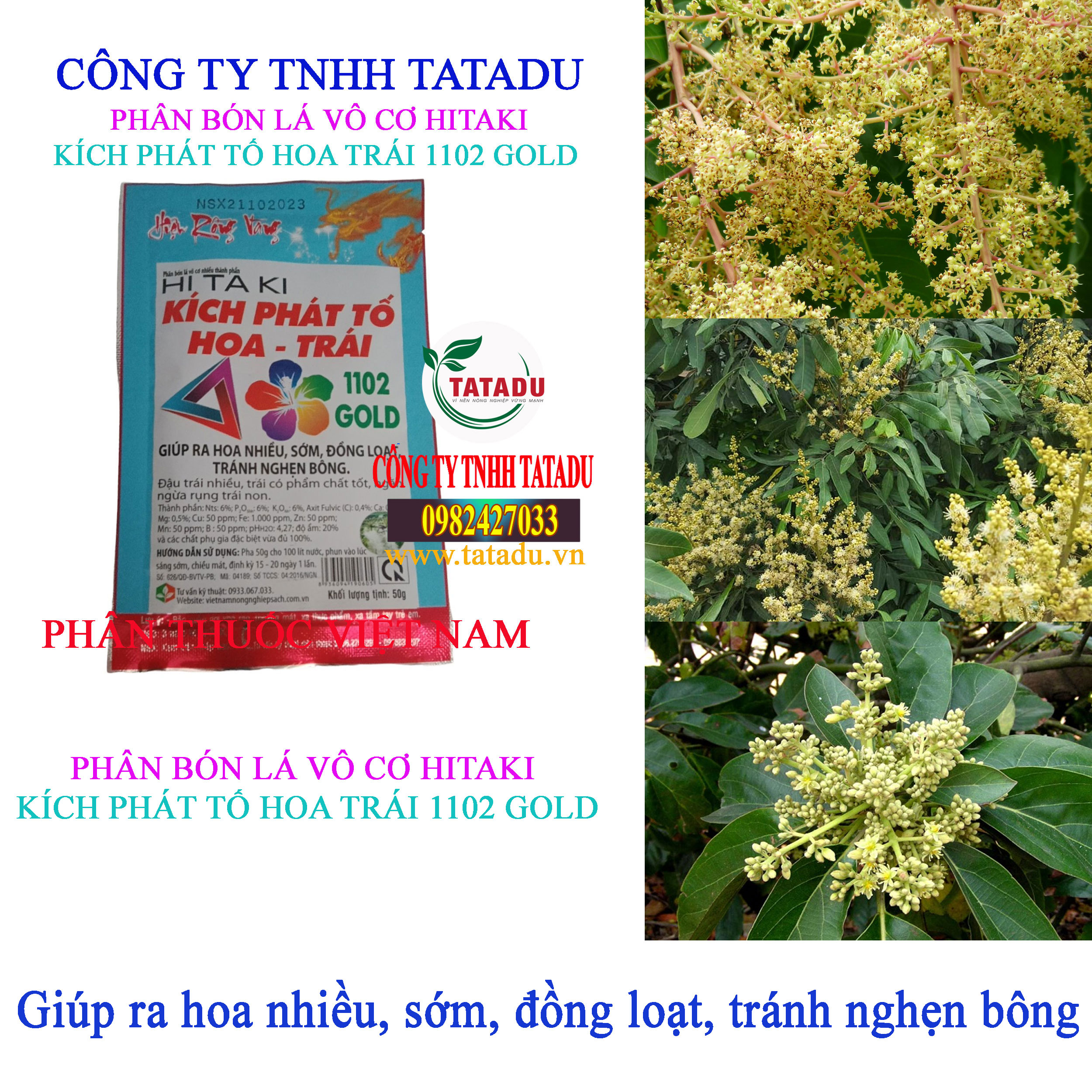 KICH PHAT TO HOA TRAI 1102 GOLD ra hoa KICH PHAT TO HOA TRAI 1102 GOLD ra hoa