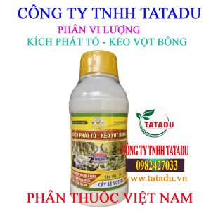 KICH PHAT TO KIM NONG