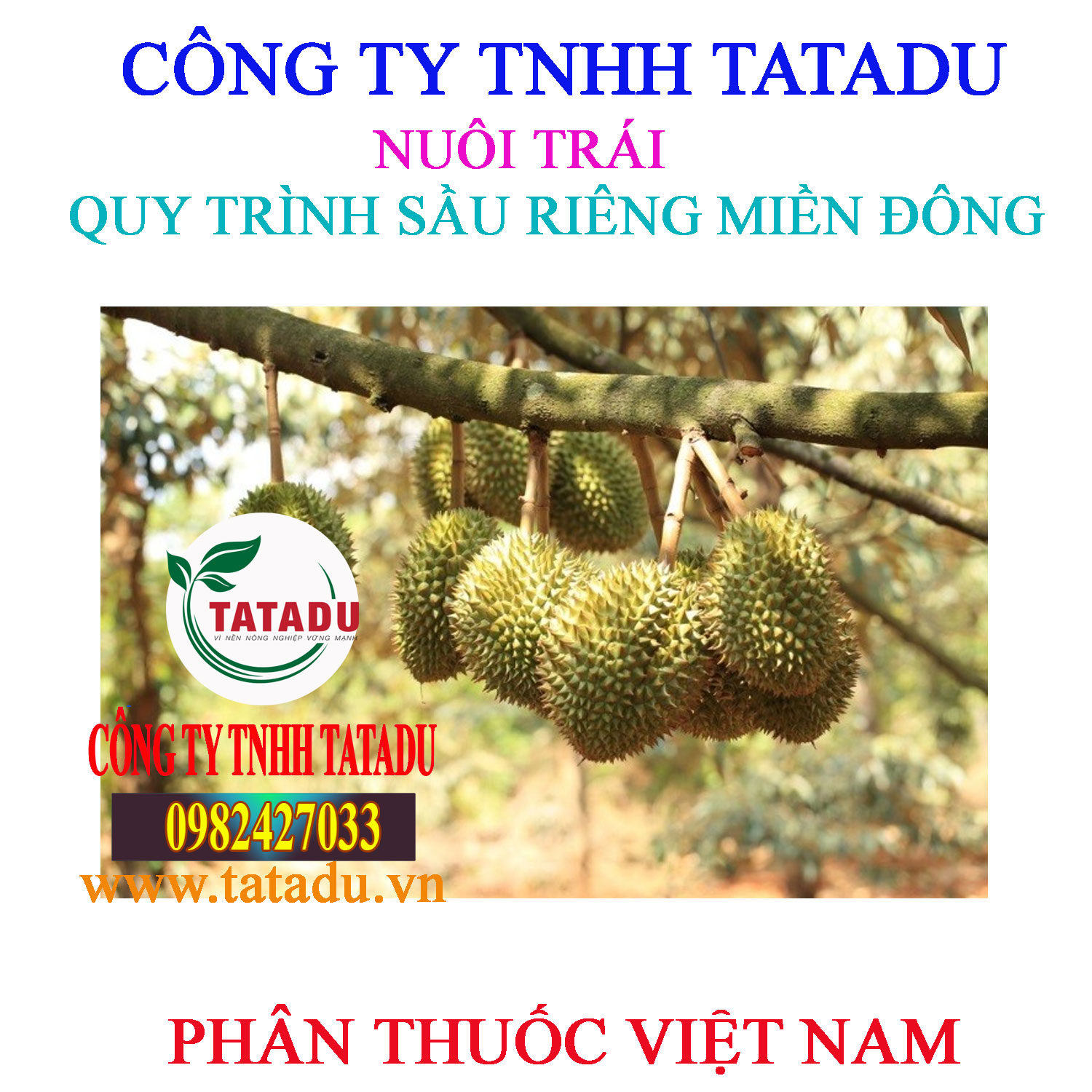 NUOI TRAI SAU RIENG