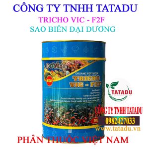 SAO BIEN DAI DUONG