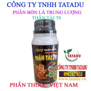 THAN TAI 79