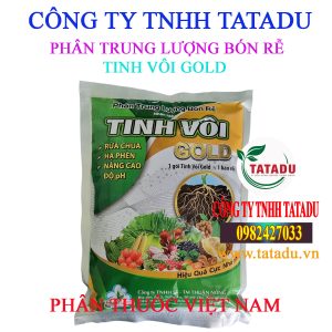 TINH VOI GOLD