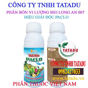 GIAI DOC PACLO