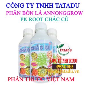 PK ROOT CHAC CU
