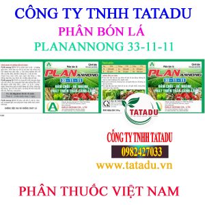 PLANANNONG 33 11 11