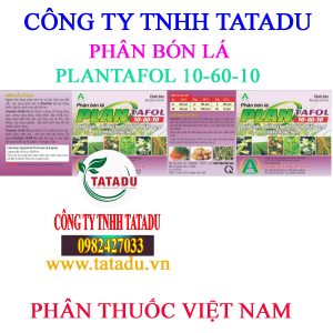 PLANTAFOL 10 60 10