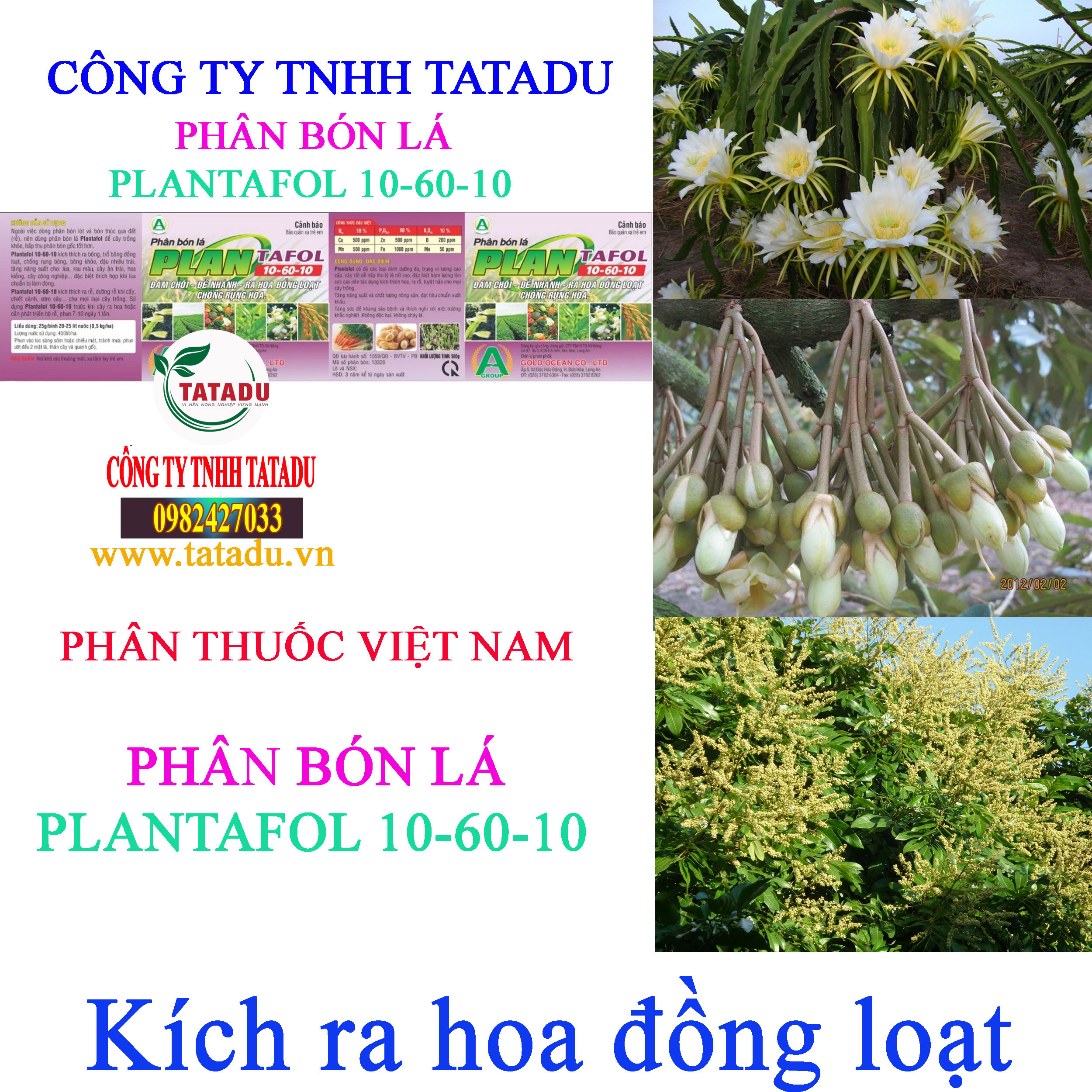PLANTAFOL 10 60 10 ra hoa PLANTAFOL 10 60 10 ra hoa