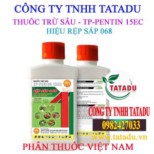 REP SAP 068