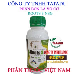 ROOTS 3 NSG