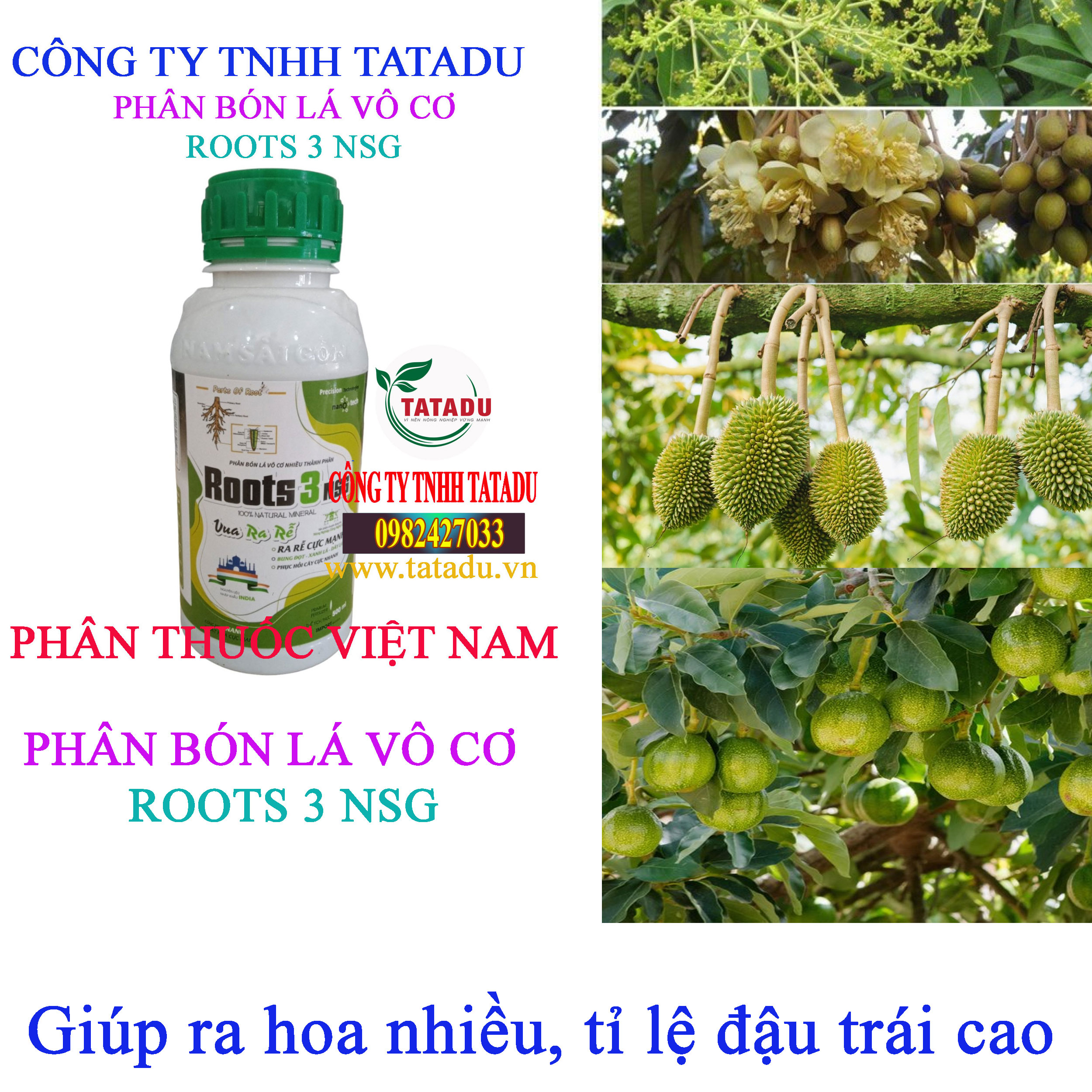 ROOTS 3 NSG ra hoa ROOTS 3 NSG ra hoa