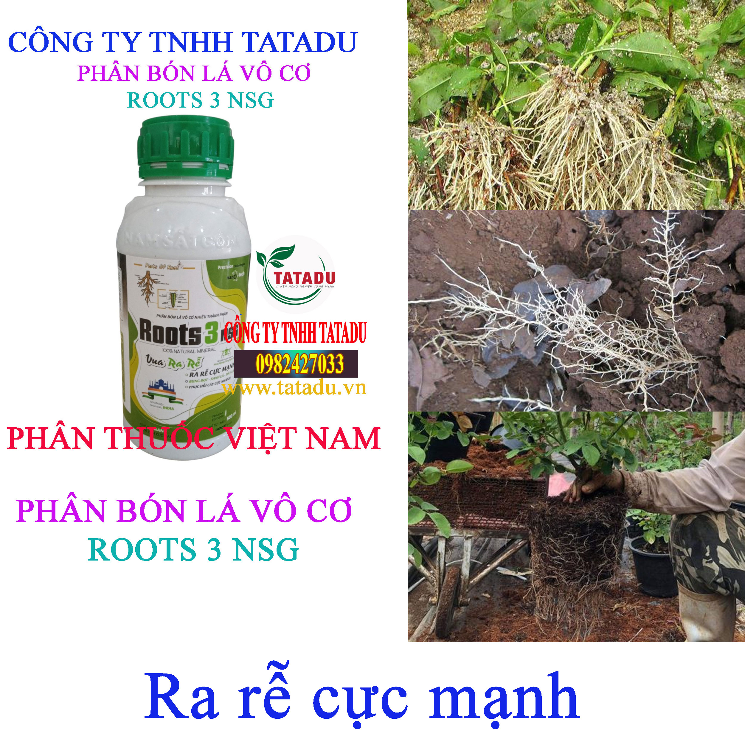 ROOTS 3 NSG ra re ROOTS 3 NSG ra re