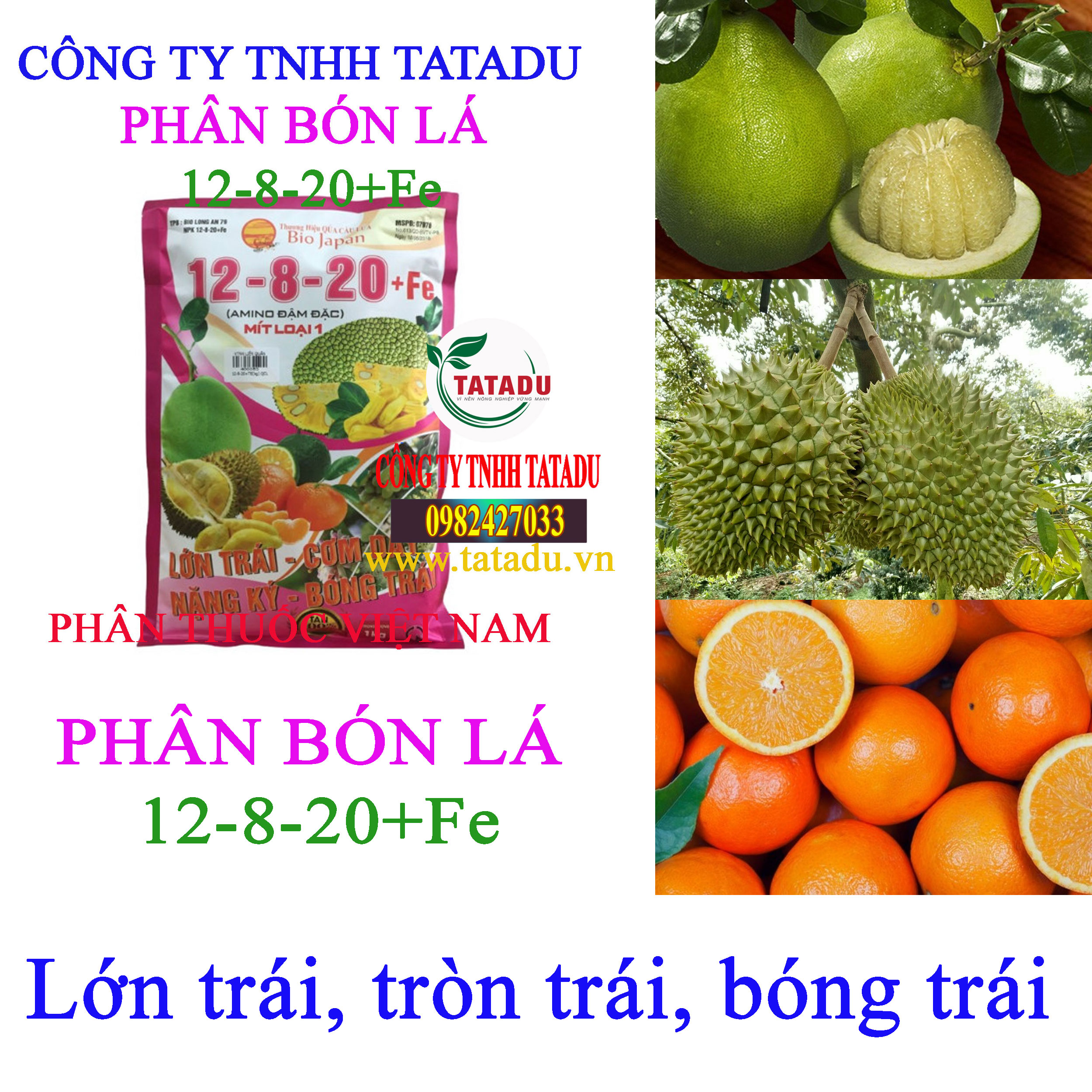 12 8 20Fe lon trai 12 8 20Fe lon trai
