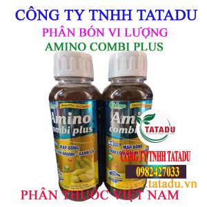 AMINO COMBI PLUS