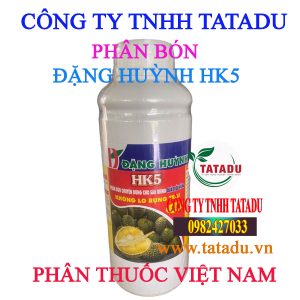 DANG HUYNH HK5