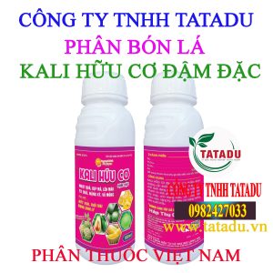 KALI HUU CO DAM DAC