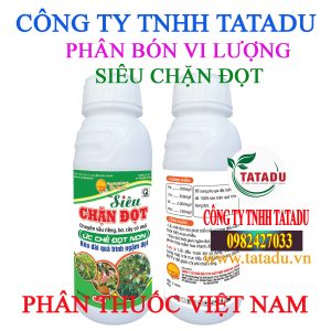 SIEU CHAN DOT