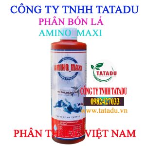 AMINO MAXI