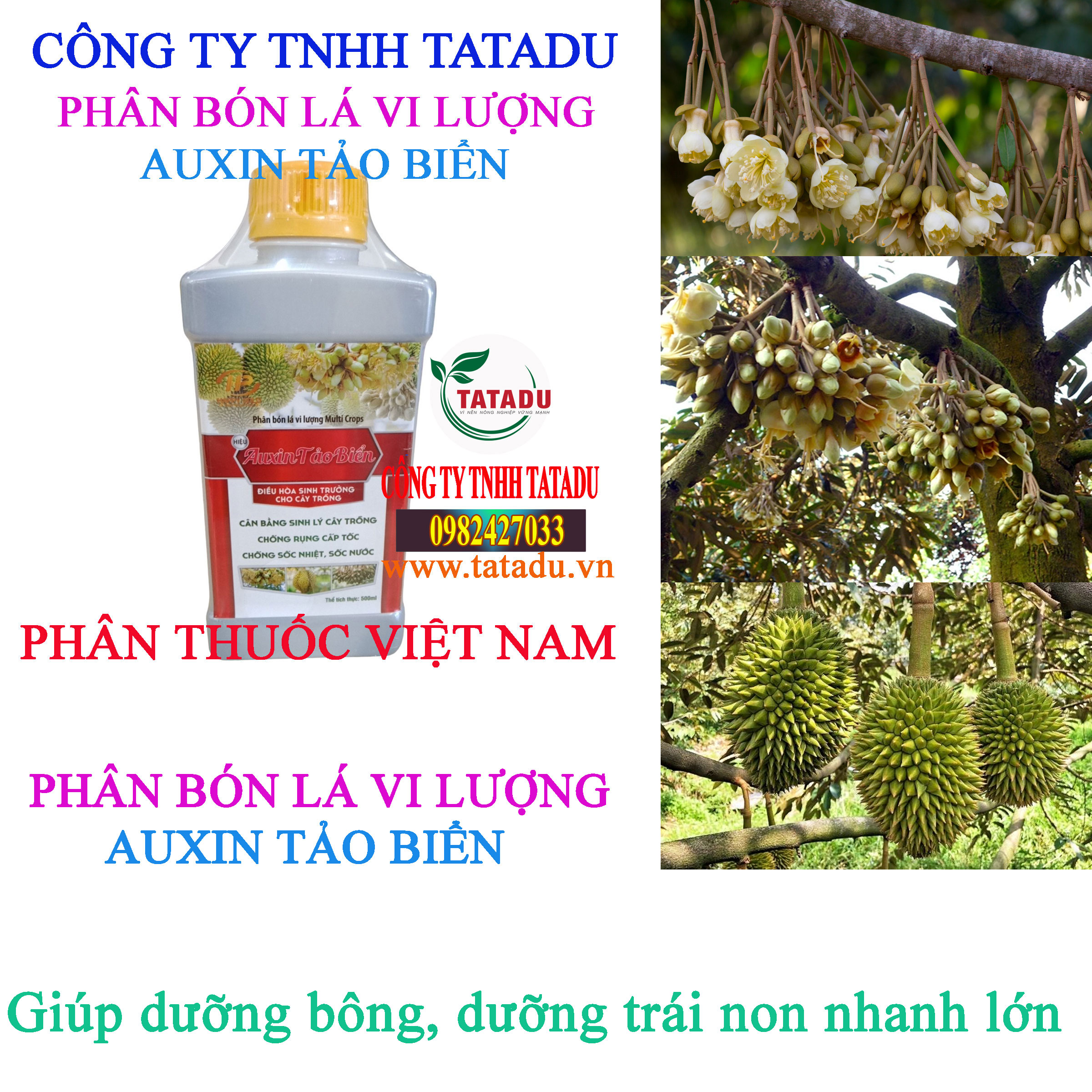 AUXIN TAO BIEN duong bong
