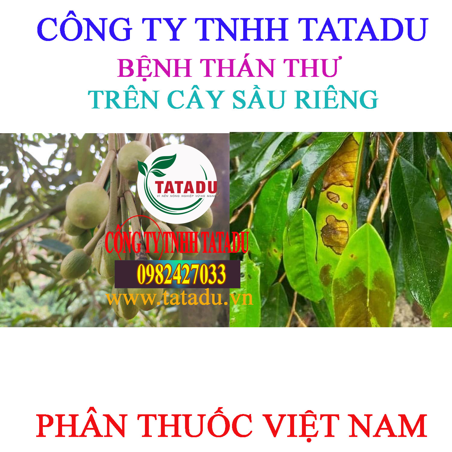 BENH THAN THU SAU RIENG