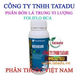 FOLIFLO BCA
