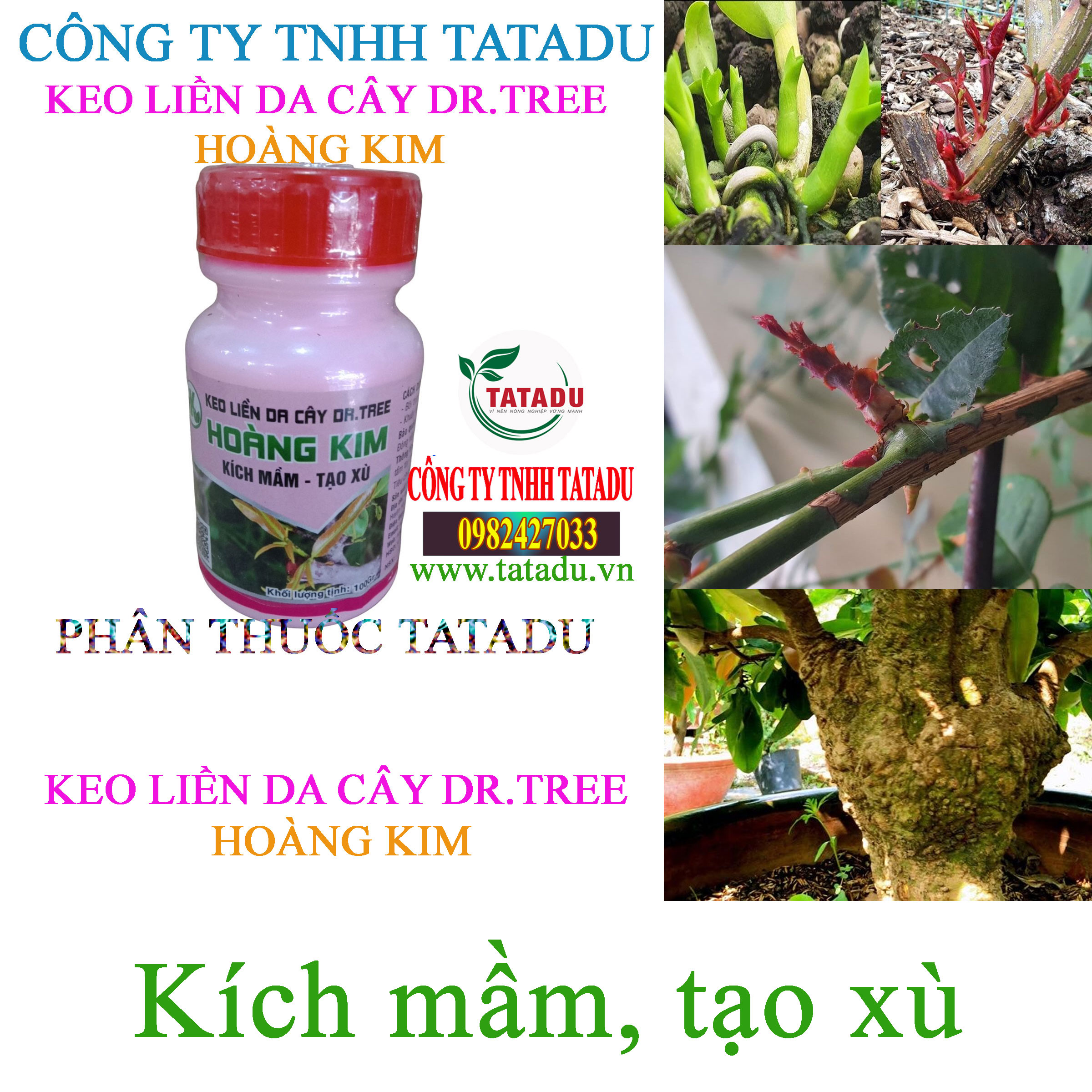 HOANG KIM kich mam HOANG KIM kich mam
