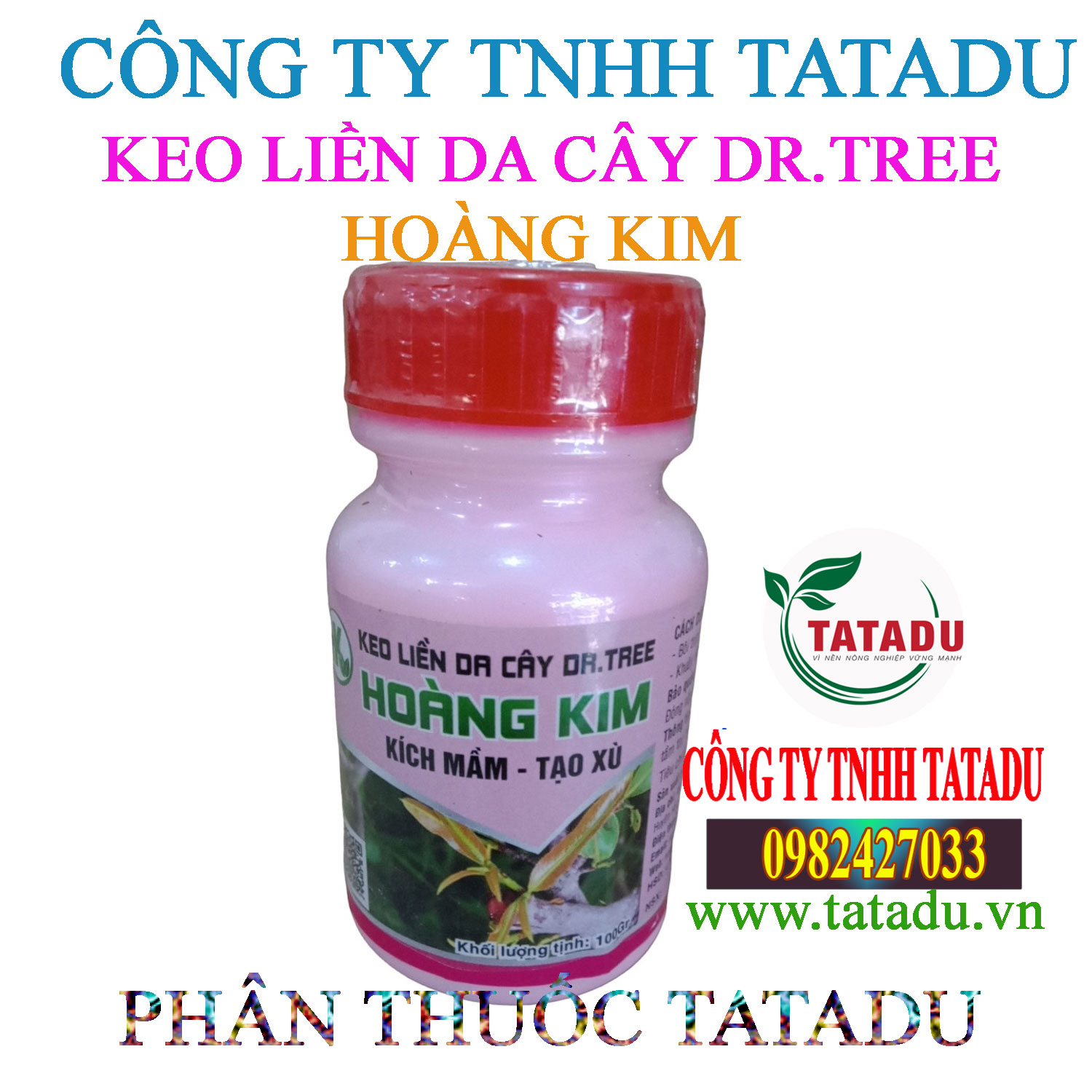 HOANG KIM HOANG KIM
