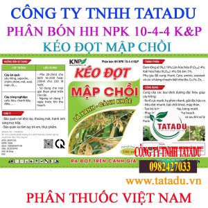 KEO DOT MAP CHOI