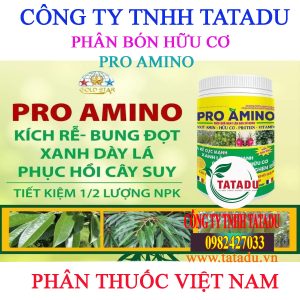 PRO AMINO