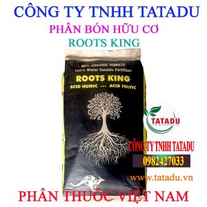 ROOTS KING