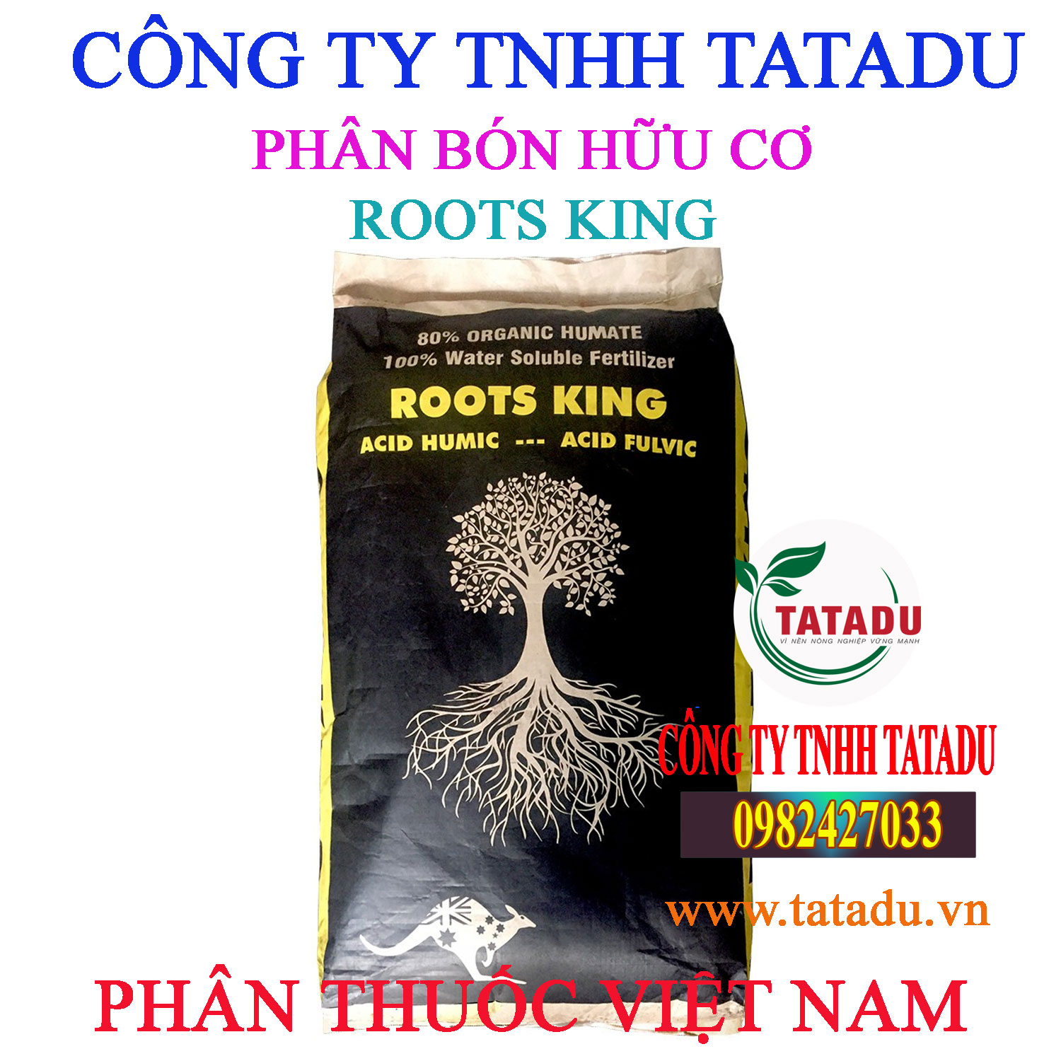 ROOTS KING