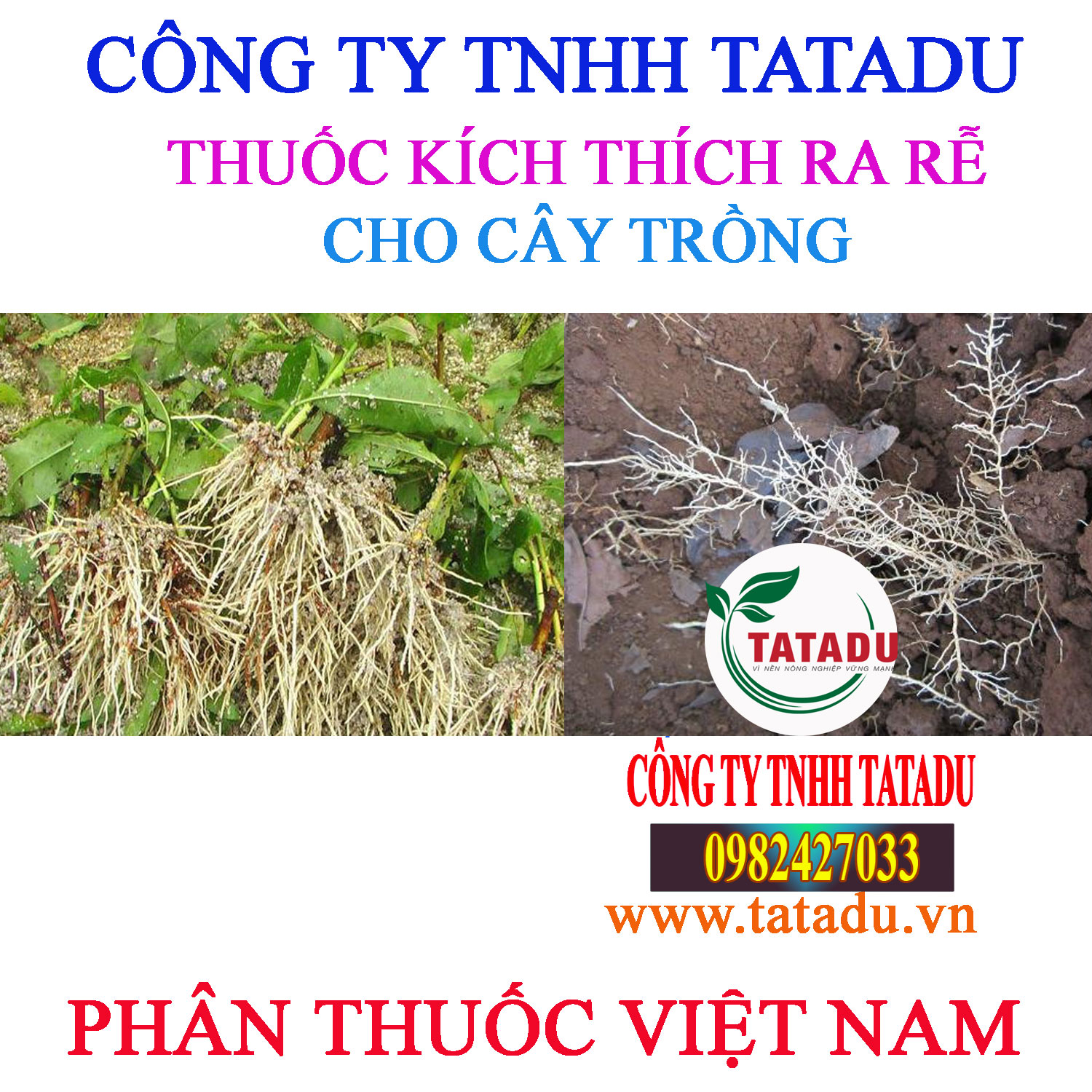 THUOC KICH RE CHO CAY