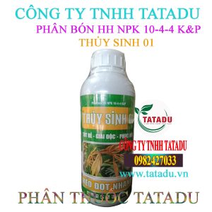 THUY SINH 01
