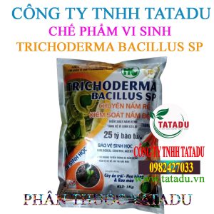 TRICHODERMA BACILLUS SP
