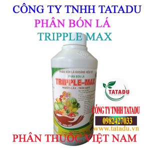 TRIPPLE MAX