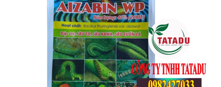 AIZABIN WP