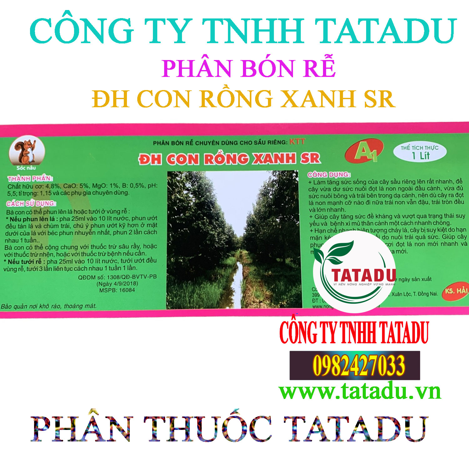 DH CON RONG XANH SR