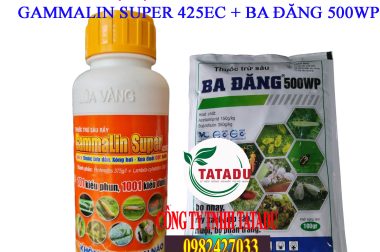 THUỐC ĐẶC TRỊ RỆP SÁP TRÊN CÂY SẦU RIÊNG ? TATADU
