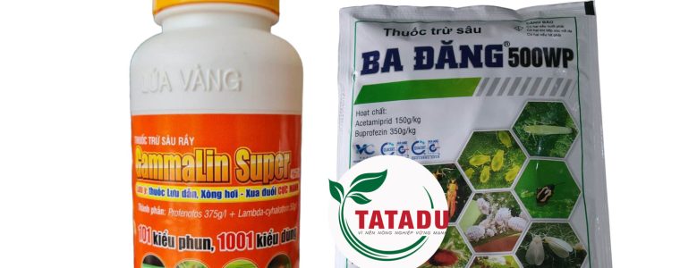 GAMMALIN SUPER 425EC BA DANG 500WP