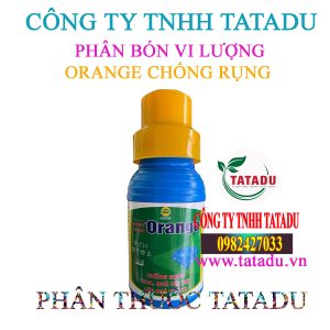 ORANGE CHONG RUNG