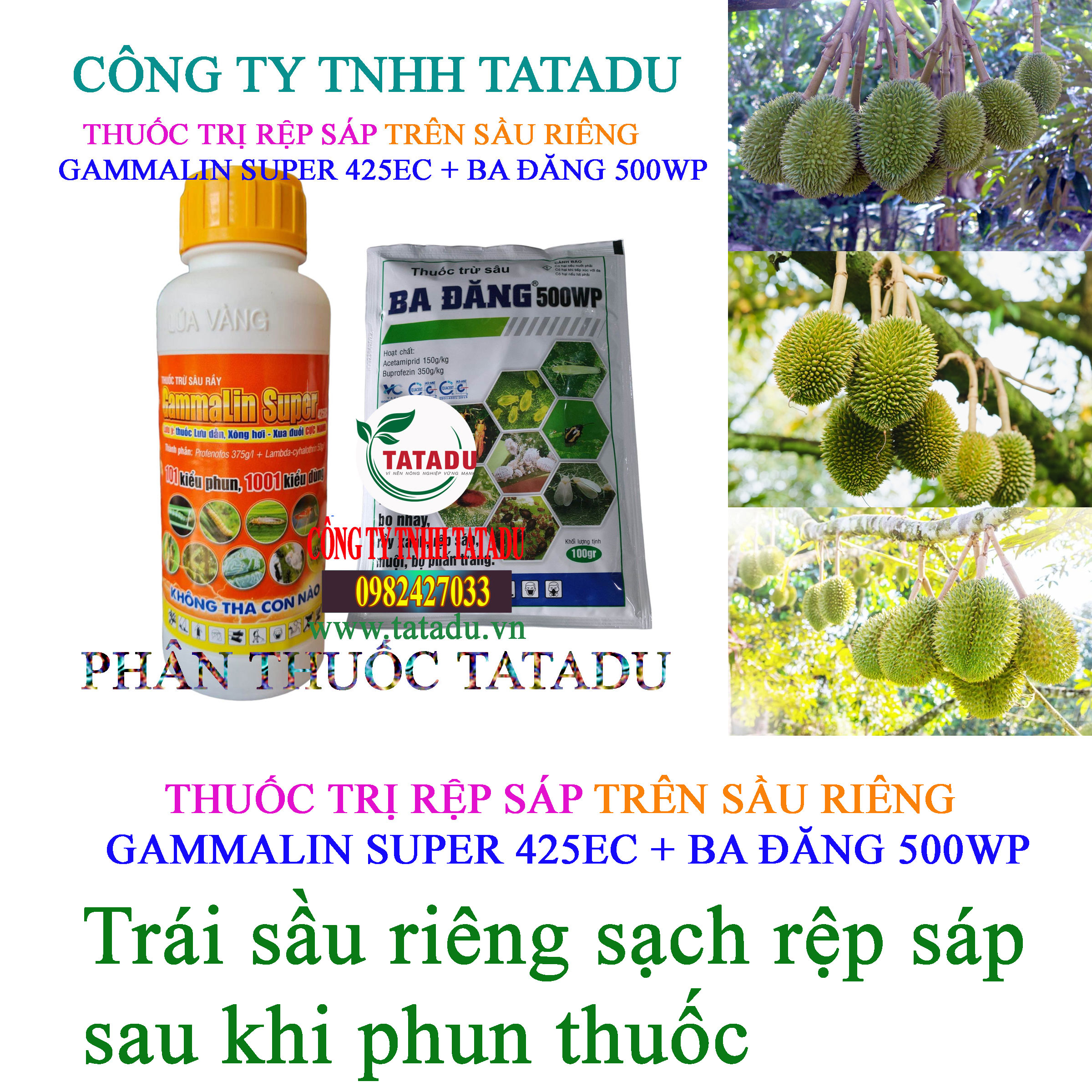 SACH REP SAP TREN TRAI SAU RIENG