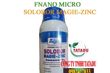 Solobor Magie-Zinc: Bí Quyết Cho Vườn Hành Lá Xanh Mướt, Khỏe Mạnh Vượt Trội