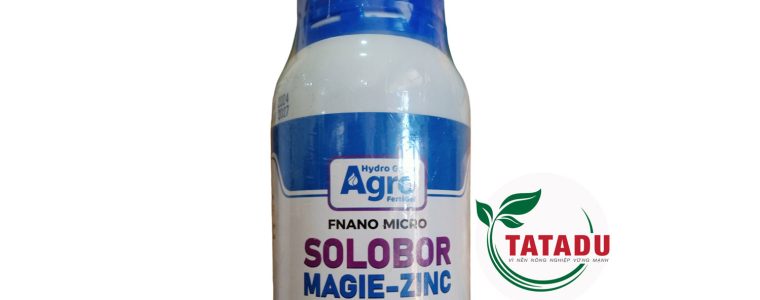 SOLOBOR MAGIE ZINC