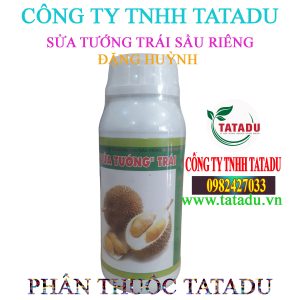 SUA TUONG TRAI SAU RIENG DANG HUYNH